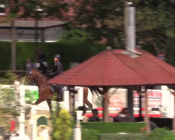 Reitturnier Ochtrup 2020