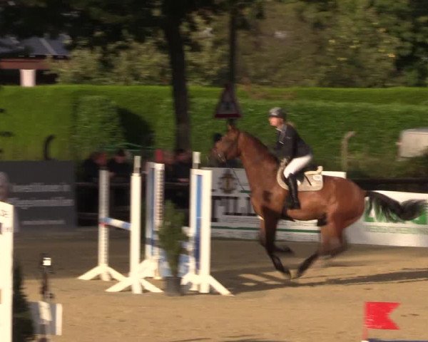 Reitturnier Ochtrup 2020