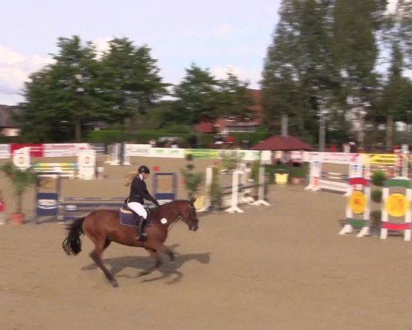 Reitturnier Ochtrup 2020
