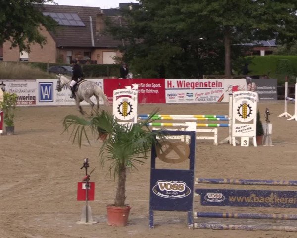 Reitturnier Ochtrup 2020