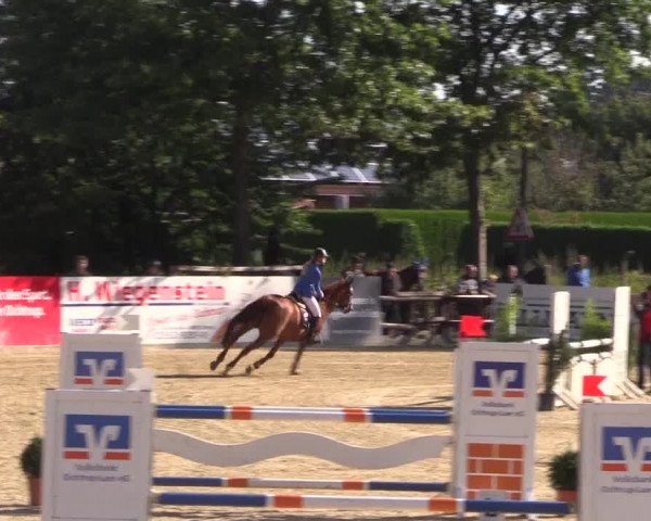 Reitturnier Ochtrup 2020