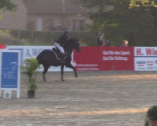 Reitturnier Ochtrup 2020