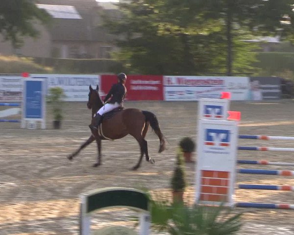 Reitturnier Ochtrup 2020
