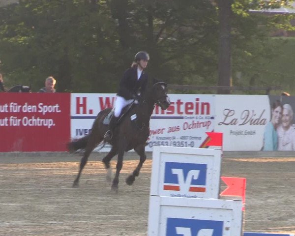 Reitturnier Ochtrup 2020