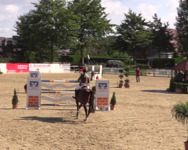 Reitturnier Ochtrup 2020
