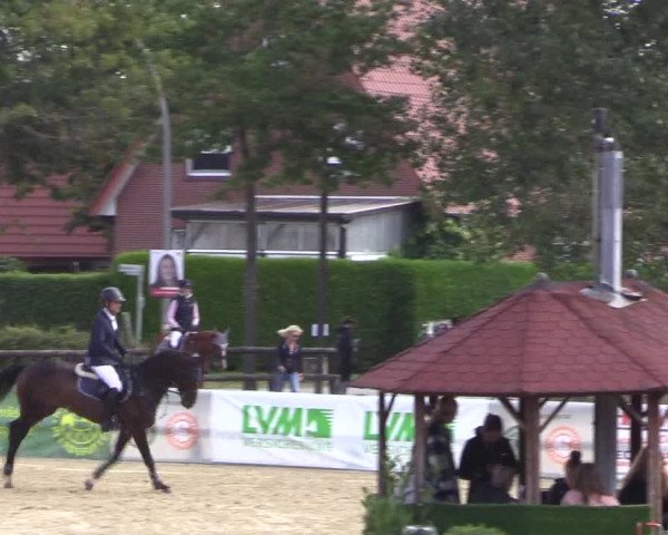 Reitturnier Ochtrup 2020