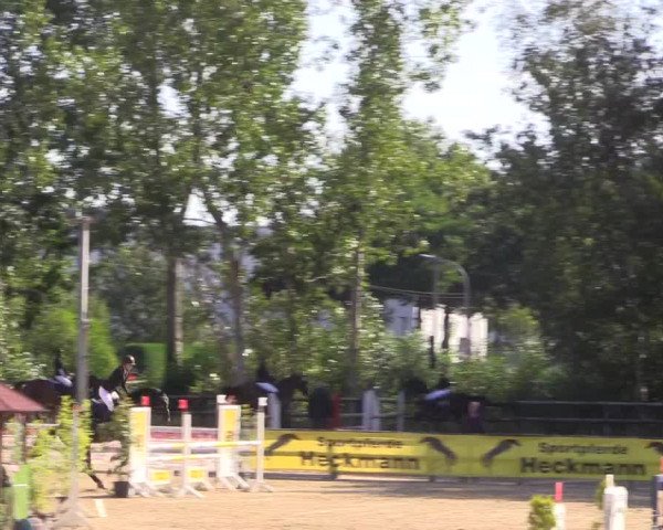 Reitturnier Ochtrup 2020