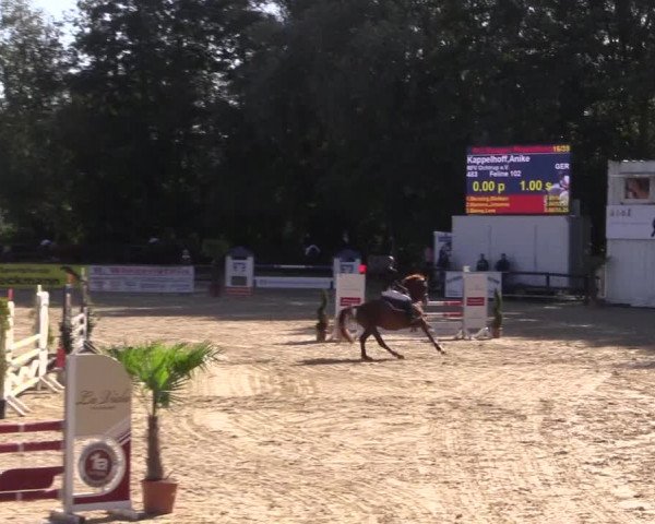 Reitturnier Ochtrup 2020