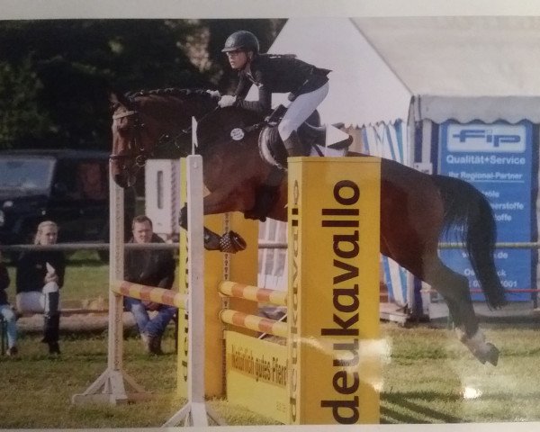Springpferd Be Mini (Holsteiner, 2008, von Boritas)