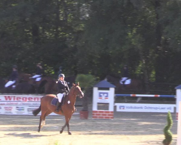 Reitturnier Ochtrup 2020