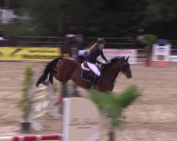 Reitturnier Ochtrup 2020