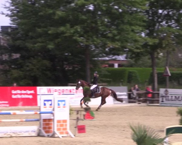 Reitturnier Ochtrup 2020