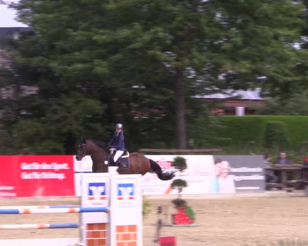Reitturnier Ochtrup 2020