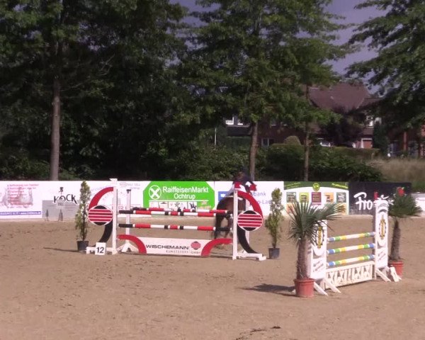 Reitturnier Ochtrup 2020