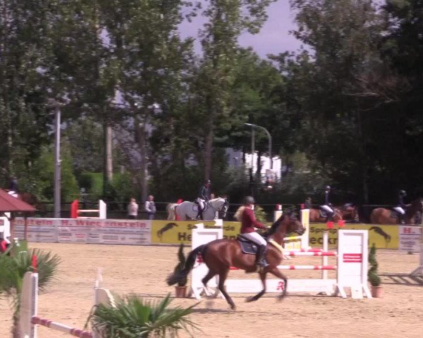 Reitturnier Ochtrup 2020