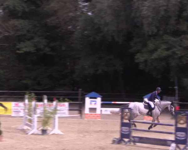 Reitturnier Ochtrup 2020