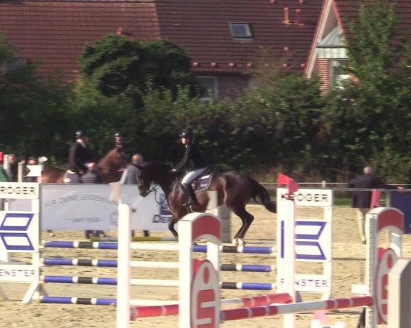 Reitturnier Ascheberg 2021