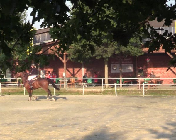 Reitturnier Ascheberg 2021