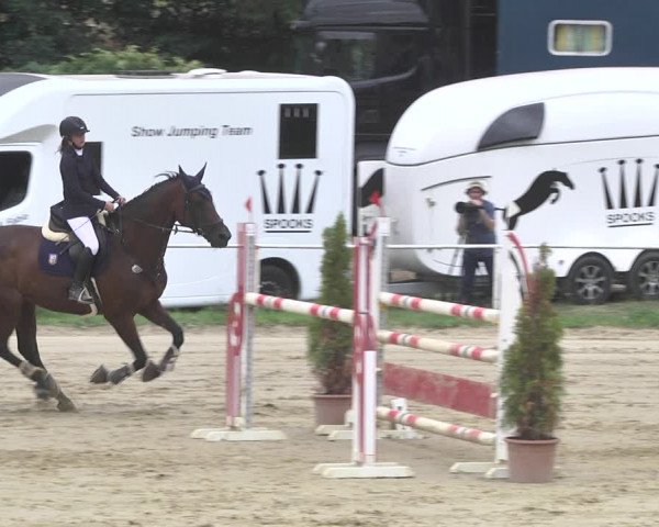 Reitturnier Heiligenwald 2020
