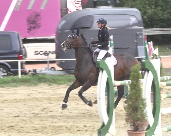 Reitturnier Heiligenwald 2020