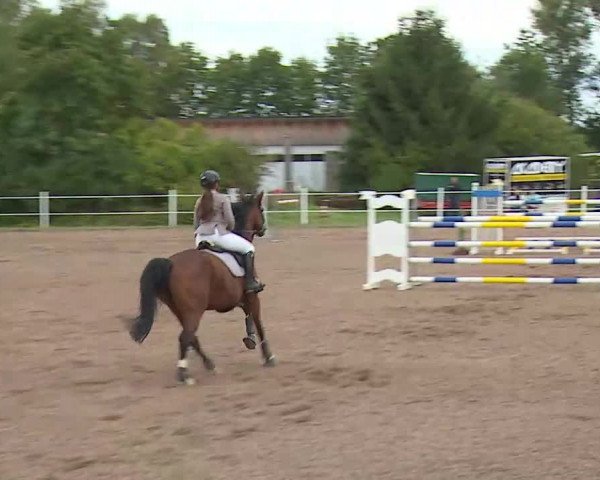 Reitturnier Demantsfürth/Mfr. 2020