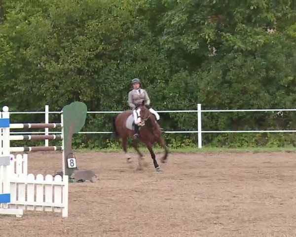 Reitturnier Demantsfürth/Mfr. 2020