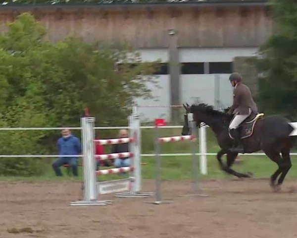 Reitturnier Demantsfürth/Mfr. 2020