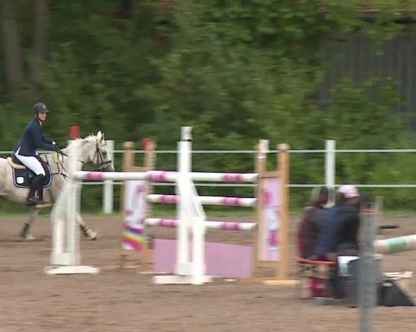 Reitturnier Demantsfürth/Mfr. 2020