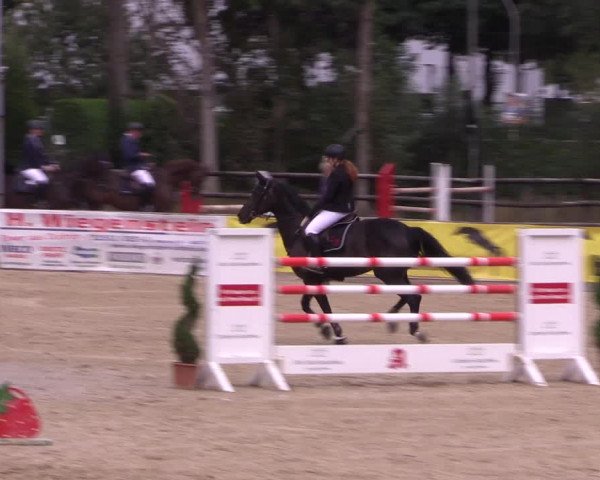 Reitturnier Ochtrup 2020
