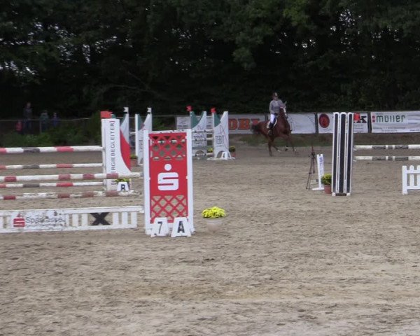 Reitturnier Meinerzhagen 2020