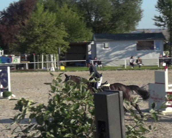 Reitturnier Eitorf-Lindscheid 2020