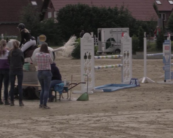 Reitturnier Ascheberg 2020