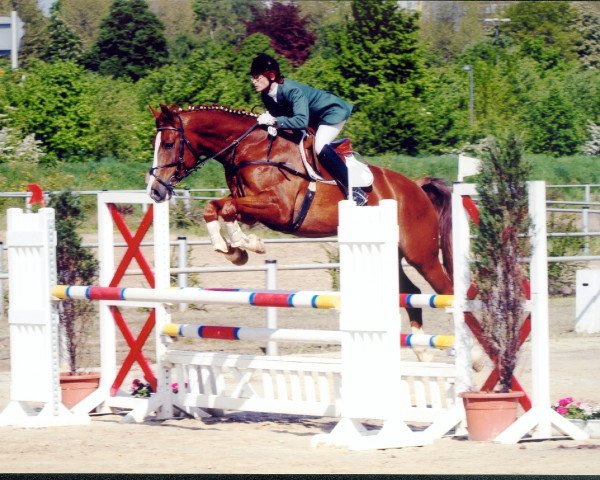 horse Diamond's Dawn (Rhinelander, 1995, from Double Diamond)