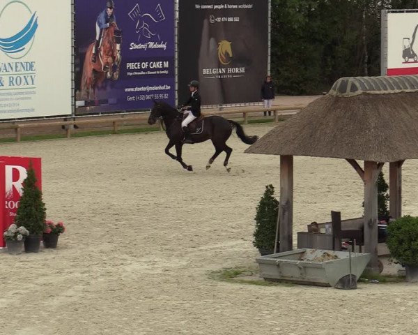 Gouden Laars - Azelhof - Lier 2020