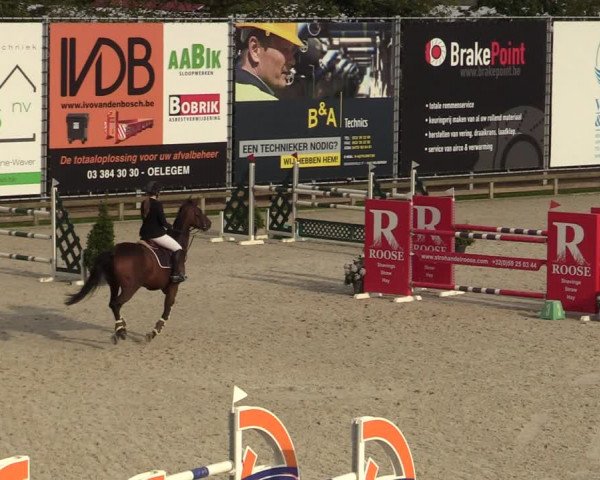 Gouden Laars - Azelhof - Lier 2020