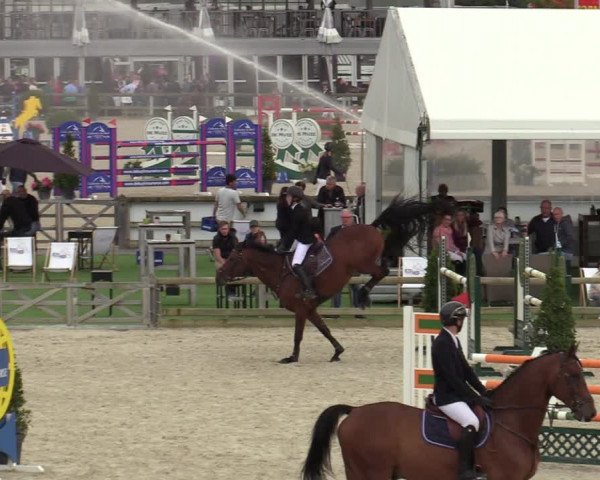 Gouden Laars - Azelhof - Lier 2020