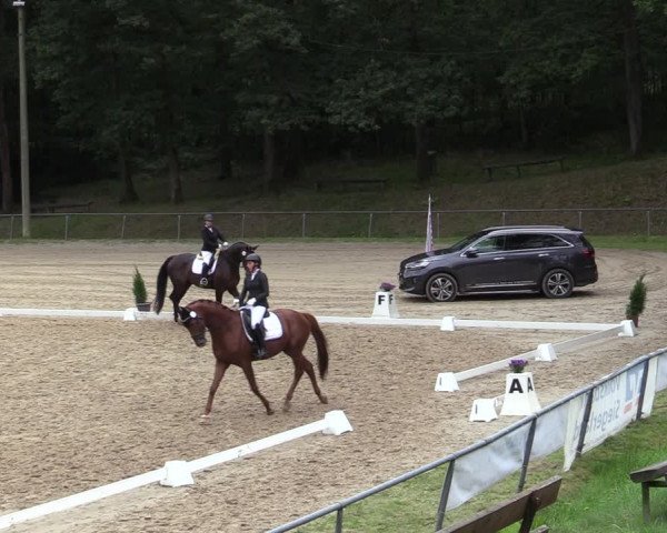 Reitturnier Neunkirchen-Salchendorf 2020
