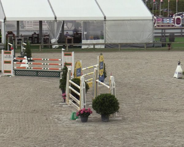 Gouden Laars - Azelhof - Lier 2020