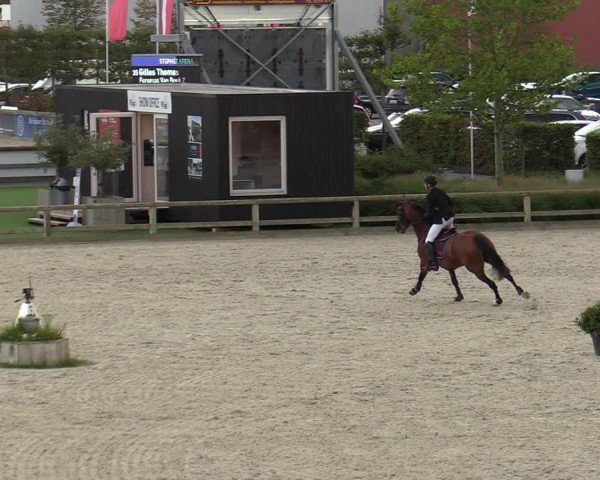 Gouden Laars - Azelhof - Lier 2020