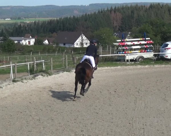 Reitturnier Eitorf-Lindscheid 2020