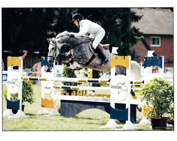 Springpferd Colina (Westfale, 2004, von Colman)