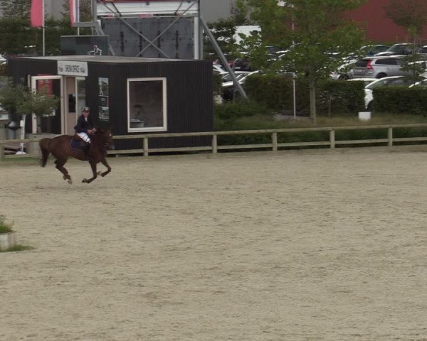 Gouden Laars - Azelhof - Lier 2020