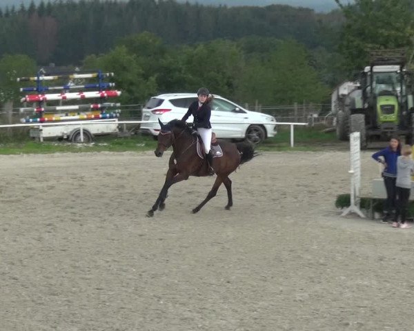 Reitturnier Eitorf-Lindscheid 2020