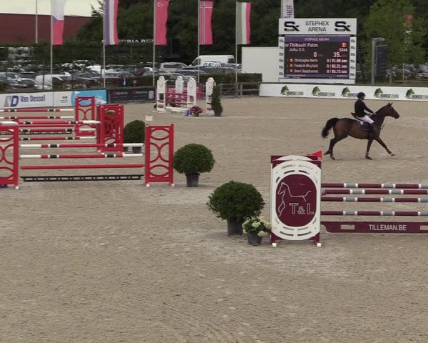 Belgisch Kampioenschap 4-5 Jarigen Paarden