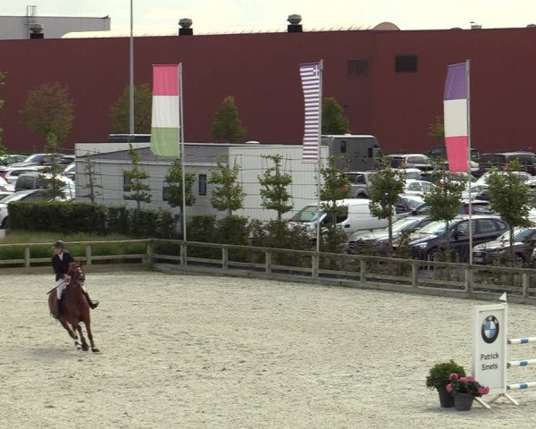Gouden Laars - Azelhof - Lier 2020