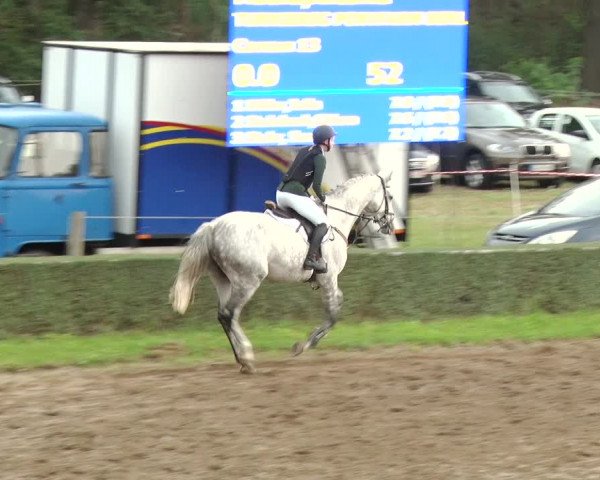 Reitturnier Jühnsdorf 2020