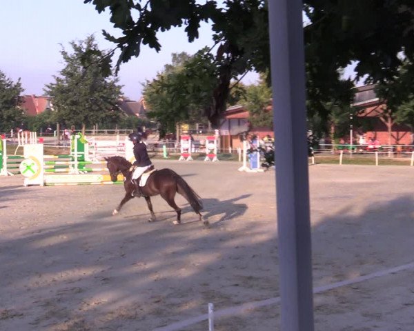 Reitturnier Ascheberg 2021