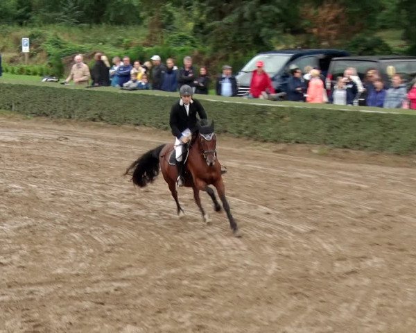 Reitturnier Jühnsdorf 2020