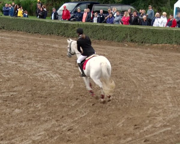 Reitturnier Jühnsdorf 2020