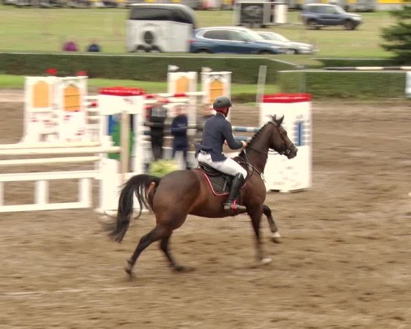 Reitturnier Jühnsdorf 2020